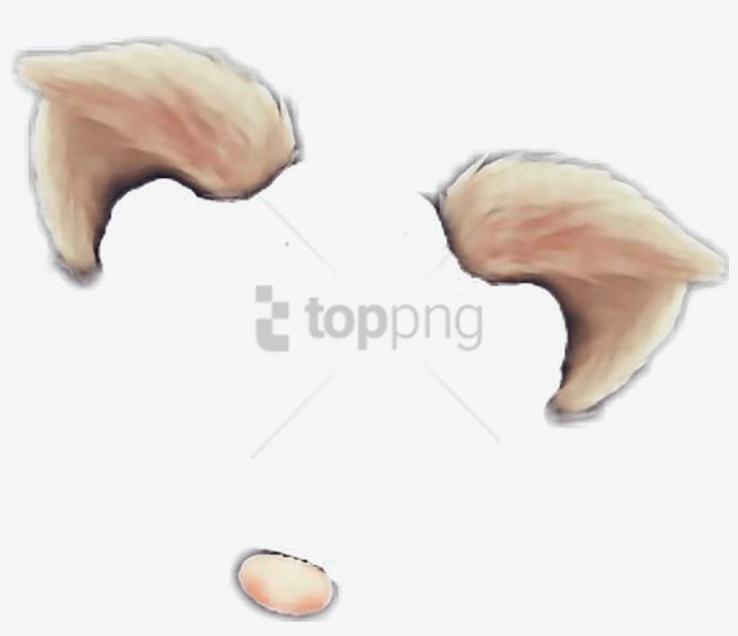 Free Png Snapchat Filter Cat Ears Png Image With Transparent - Snapchat Cat Filter Png, transparent png download