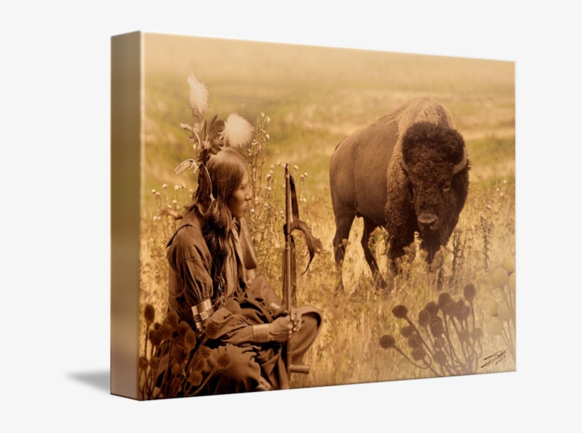 Tampa Bay // Image Is A Composite Of Photographs And - Native American Bison Art, transparent png download