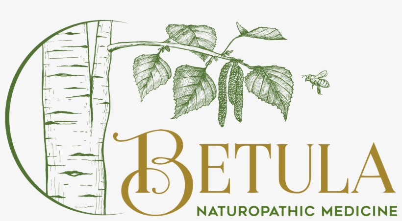 Betula Naturopathic Medicine - Tree, transparent png download