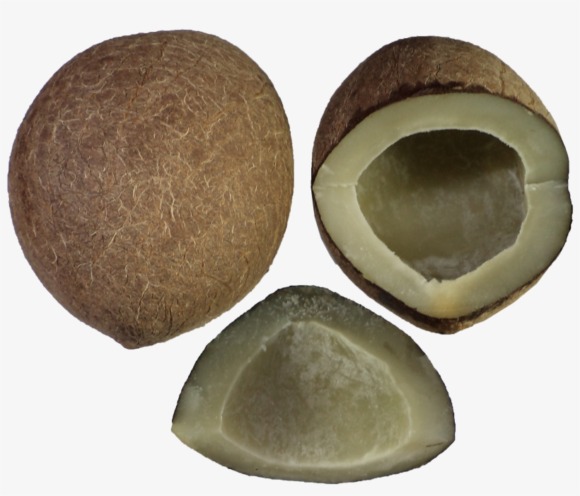 Tender Fresh Coconuts - Copra Png, transparent png download