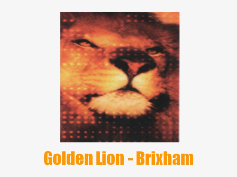 Poster, transparent png download