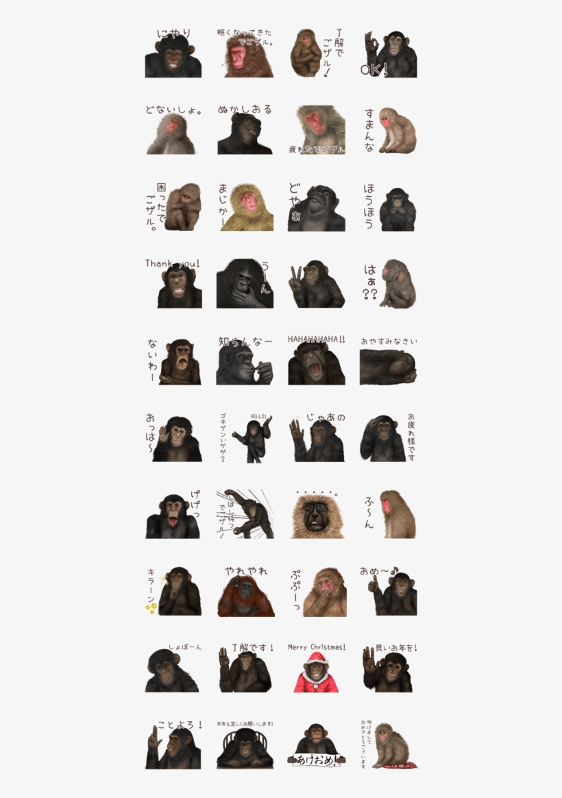 Real Monkey Sticker Of Zumo - Gorilla, transparent png download