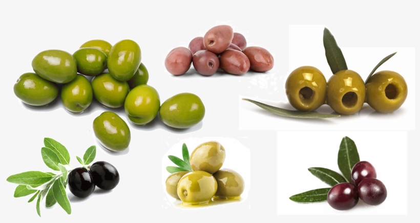 Olive - Olives, transparent png download