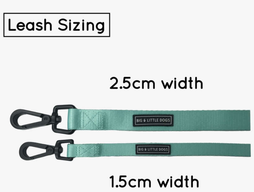 Dog Leash For Big And Small Dogs Classic Solid Teal - Leash, transparent png download