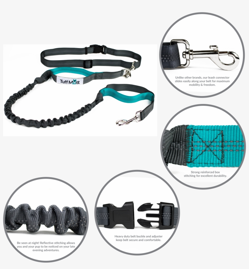 Hands Free Bungee Leash - Leash, transparent png download