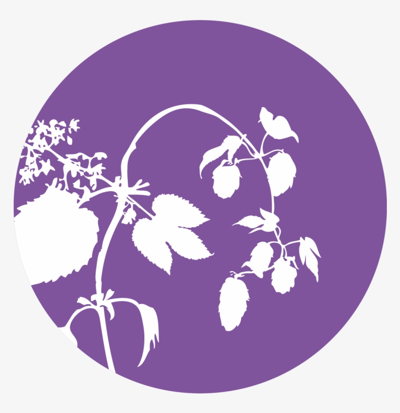 Empty Capsule Shells, transparent png download