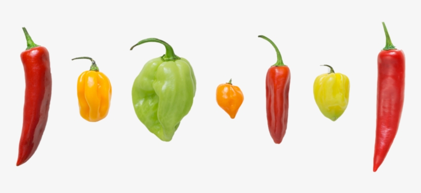 Peppers - Tabasco Pepper, transparent png download