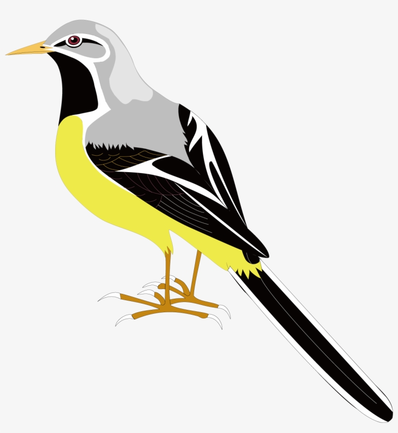 Songbird Clipart Mockingbird - Cartoon Sparrow Png, transparent png download