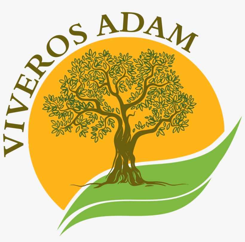 2259 X 2316 1 - Illustration, transparent png download