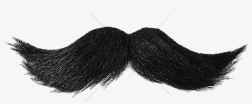 Free Png Download Mustache Black Png Images Background - Big Black Mustache, transparent png download