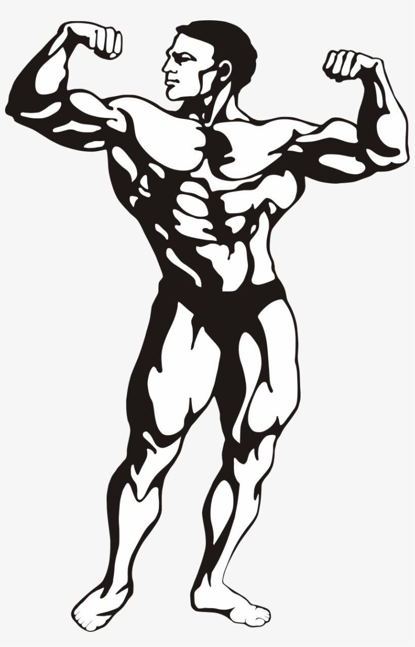 File - Btoteva Fitness - Svg - Body Builder Clip Art, transparent png download