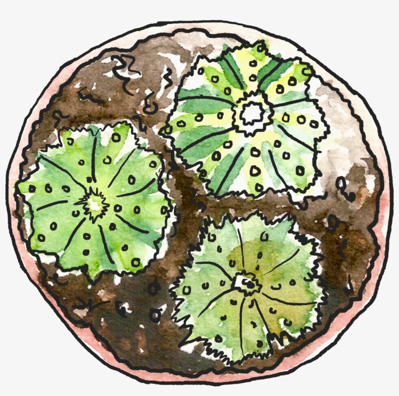 The Great Outdoors - Circle, transparent png download