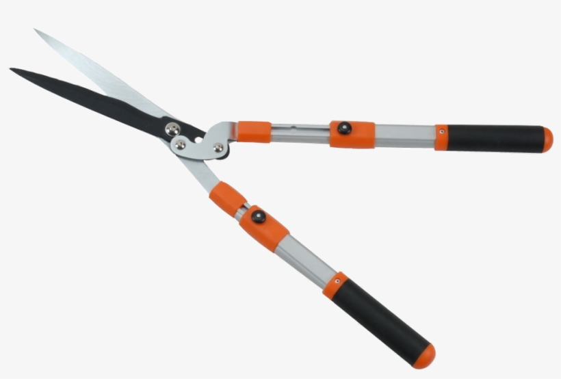 hedge pruning shears