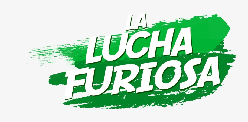 Kung Fu Panda Picture - Poster, transparent png download