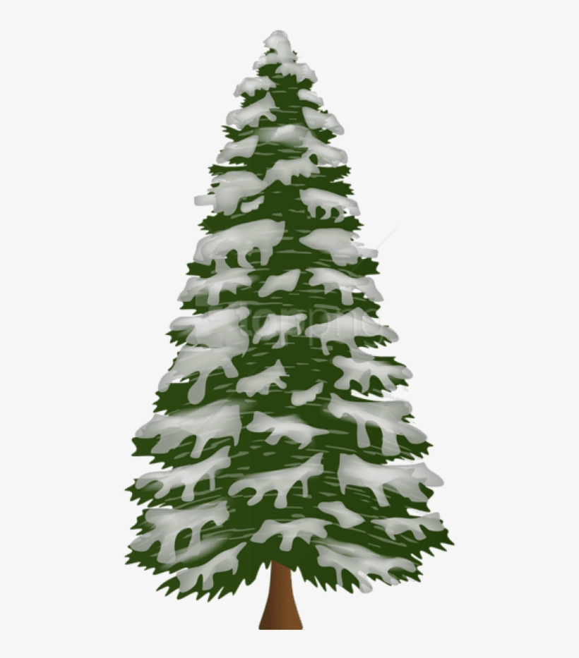 Free Png Pine Tree With Snow Png Png - Pine Tree With Snow Png, transparent png download