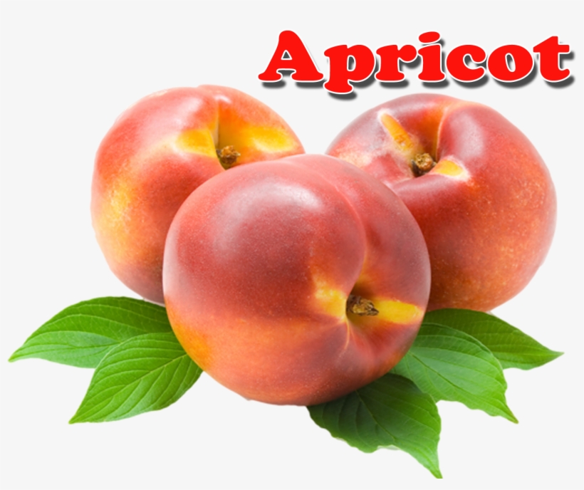 Apricot Png - Nectarines, transparent png download