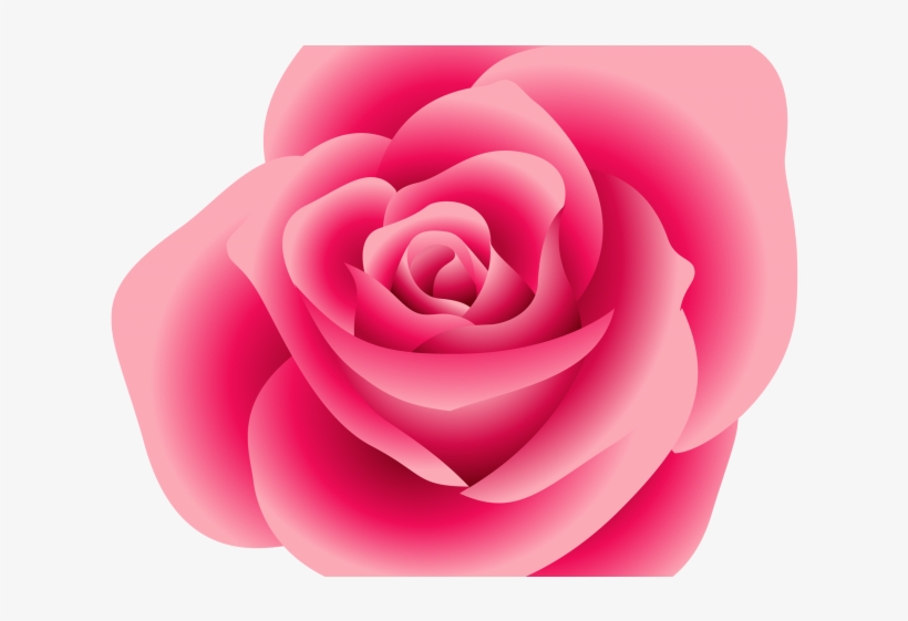 Pink Rose Clipart Vine - Pink Flower Rose Clipart, transparent png download