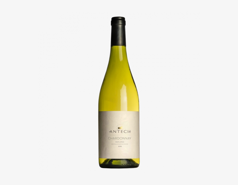 Antech Chardonnay, transparent png download