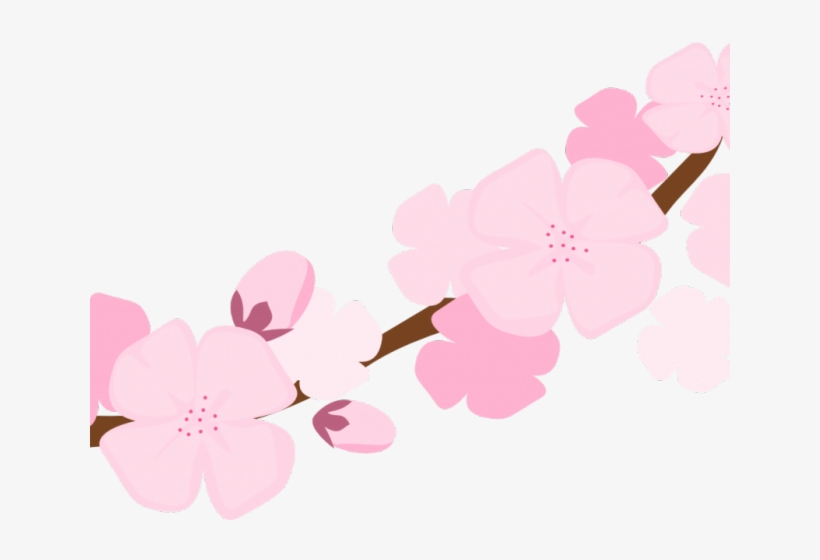 Blossom Clipart Sakura Petal - Clip Art, transparent png download