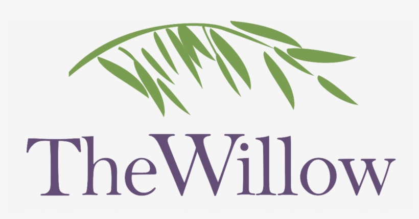 Willow, transparent png download