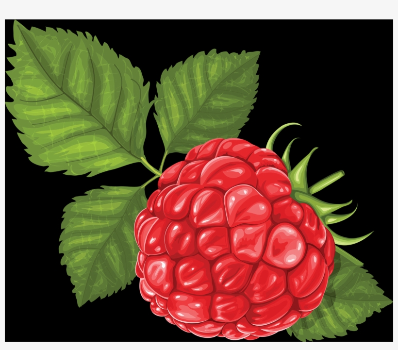 Transparent Raspberries, transparent png download