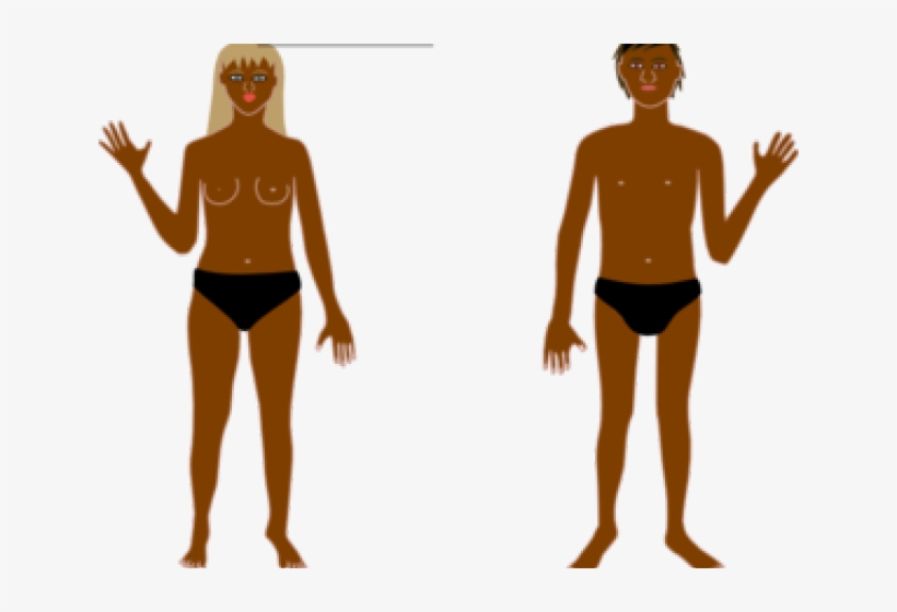 Illustration, transparent png download