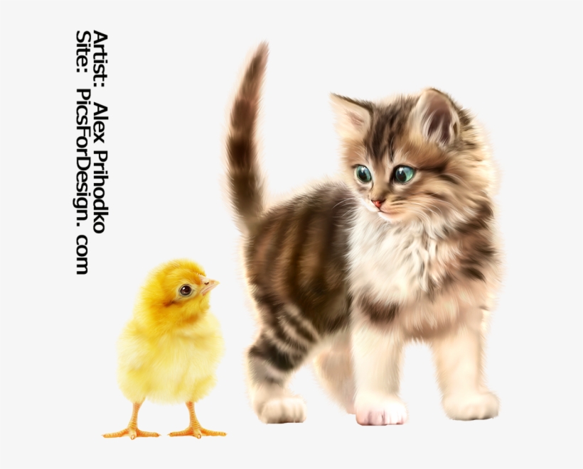 Kitty-chick - Kitten, transparent png download