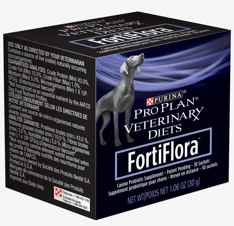 Roll Over Image To Zoom - Stallion, transparent png download