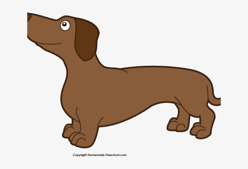 Dachshund, transparent png download