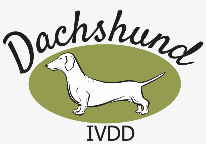 The Dachshund Breed Council Uk - Longdog, transparent png download