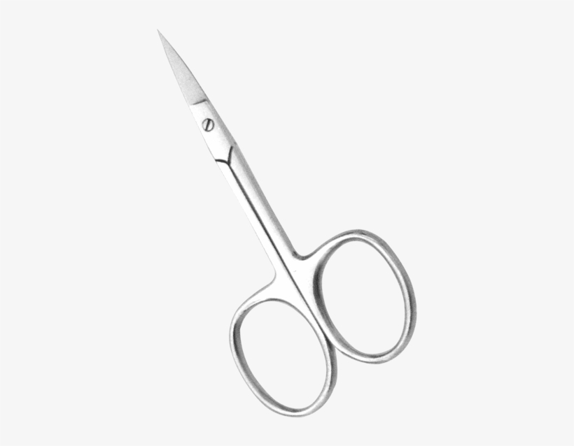 Alex Ent Name Scissor Str Cvd Ⓒ - Scissors, transparent png download