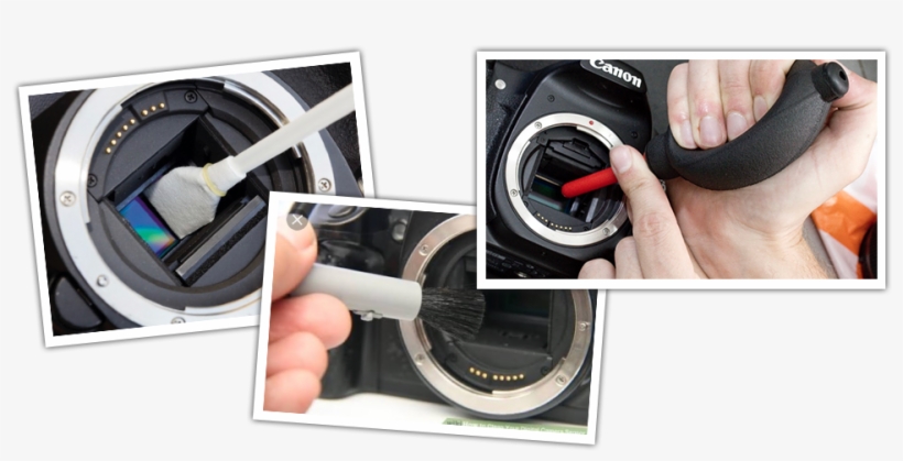 Exclusive To A Lens For Hire - Mobile Phone, transparent png download