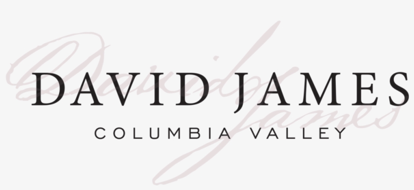 Top Suggestions Of Champagne Toast Icon Png, transparent png download