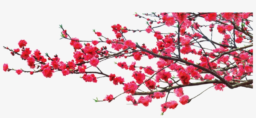 China Dwg Romantic - Tree Romantic Png, transparent png download