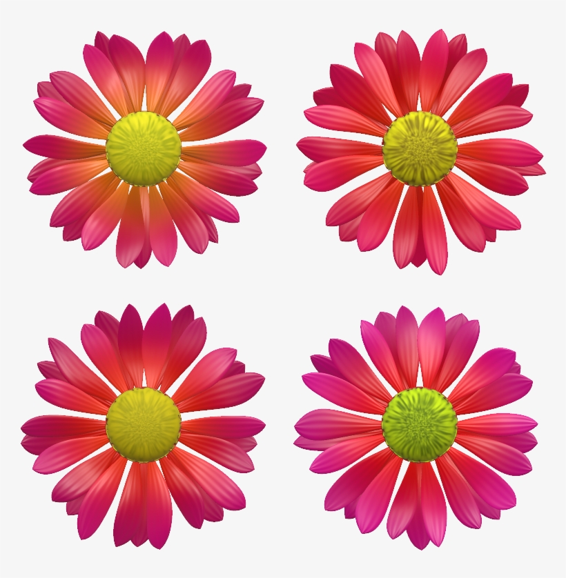 Flower 4 4e - Daisy, transparent png download