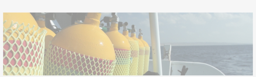 Locator - Champagne, transparent png download