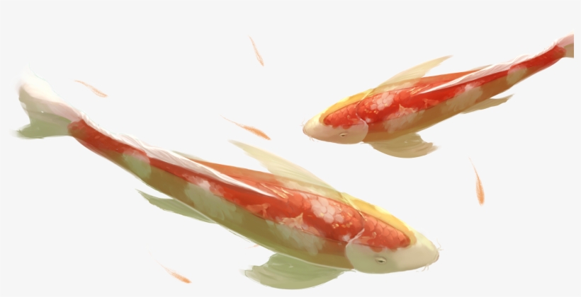 Watercolor Creative Chinese Style Good Luck Png And - Koi, transparent png download