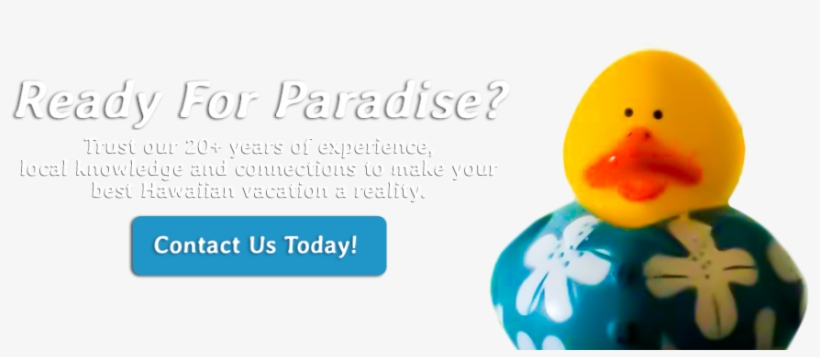 Bath Toy, transparent png download