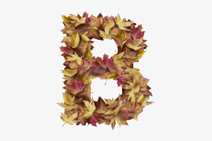 Letter B From Dry Leaves - Artificial Flower, transparent png download