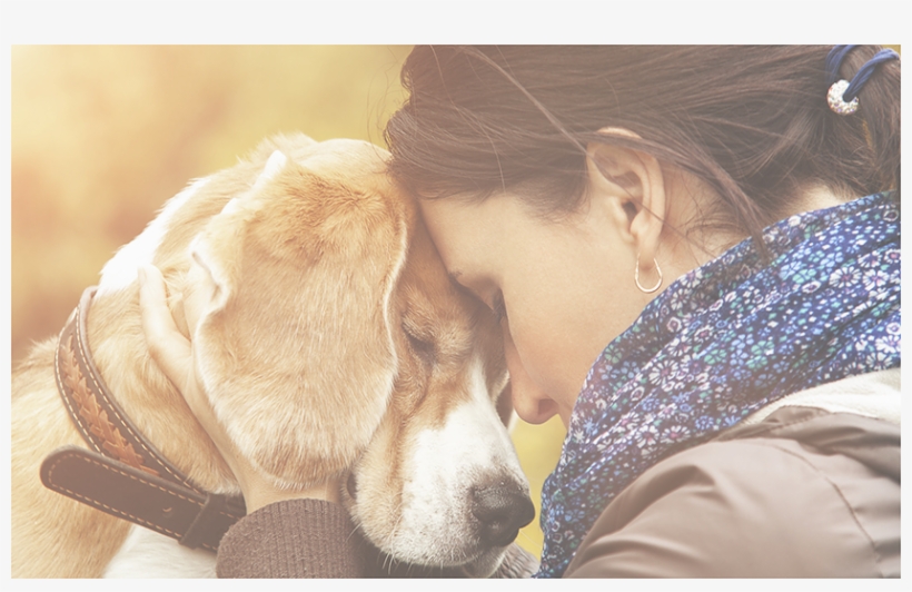 Dogs - Dog And Woman Relationship, transparent png download