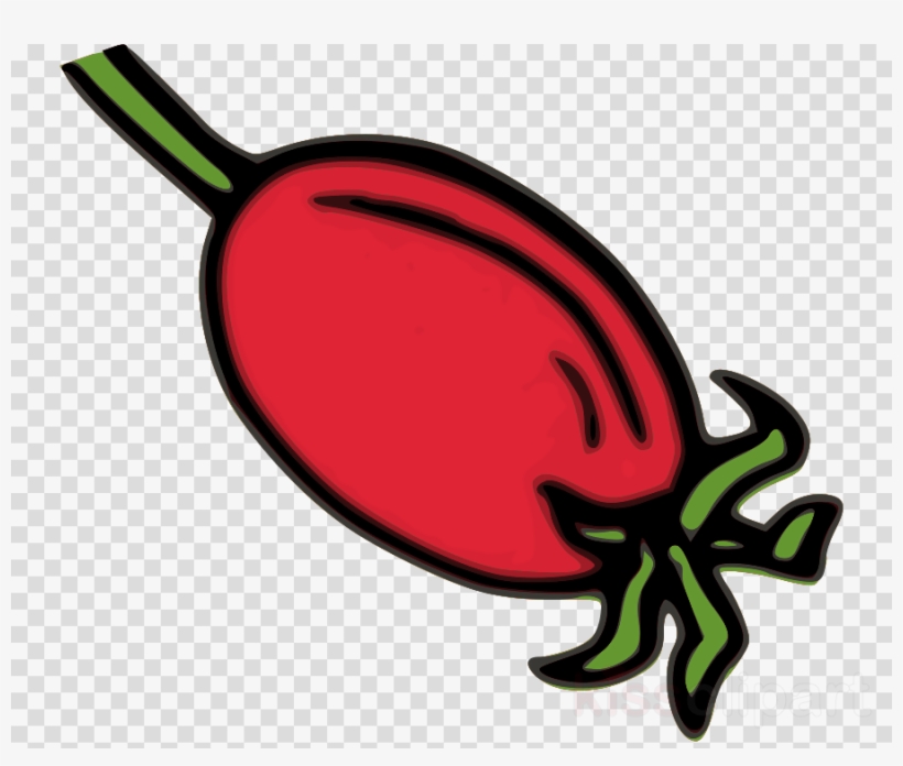 Download Rose Hips Clip Art Clipart Rose Hip Dog Rose - Logo Dream League Soccer 2019, transparent png download