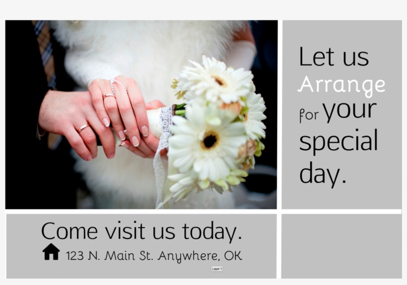 More Views - Barberton Daisy, transparent png download