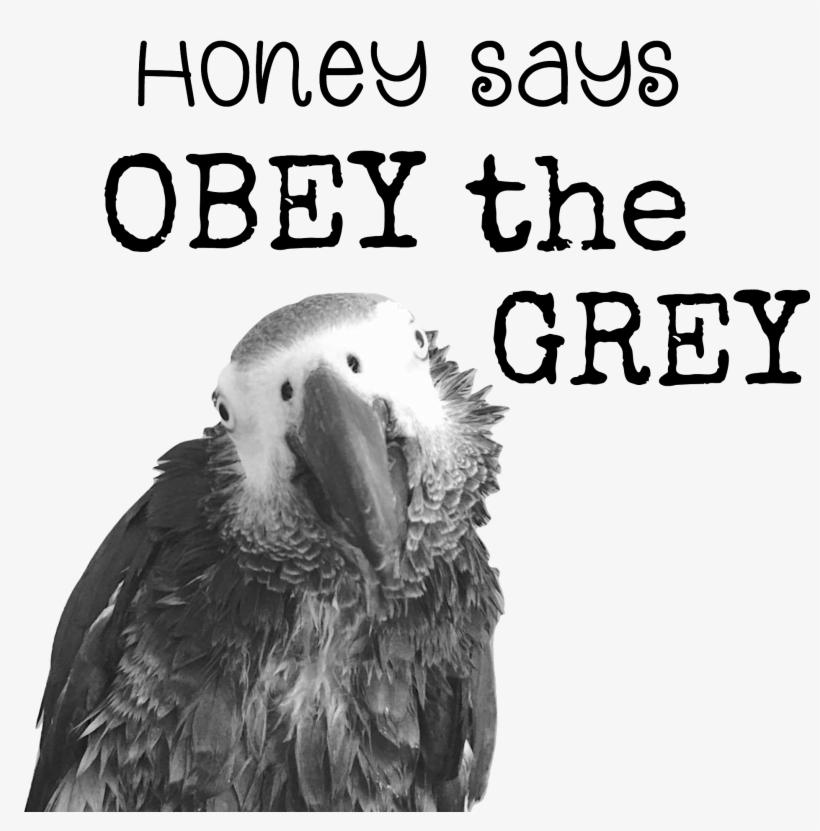 Obey The Grey Mug - Pool Noodle Bed Rail, transparent png download