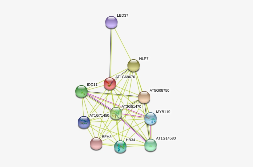 Ferris Wheel, transparent png download