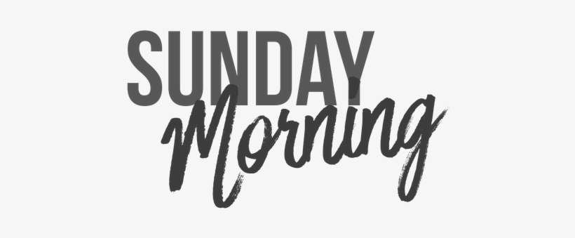 Sunday - Ex Nose Les Llora Se Les Reemplaza, transparent png download