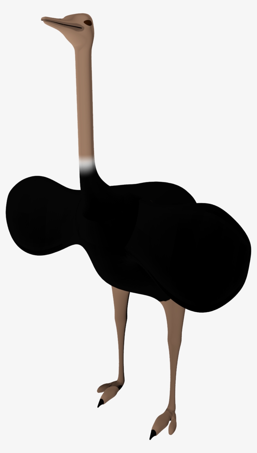 Black Ostrich Png Pictures - Ostrich, transparent png download