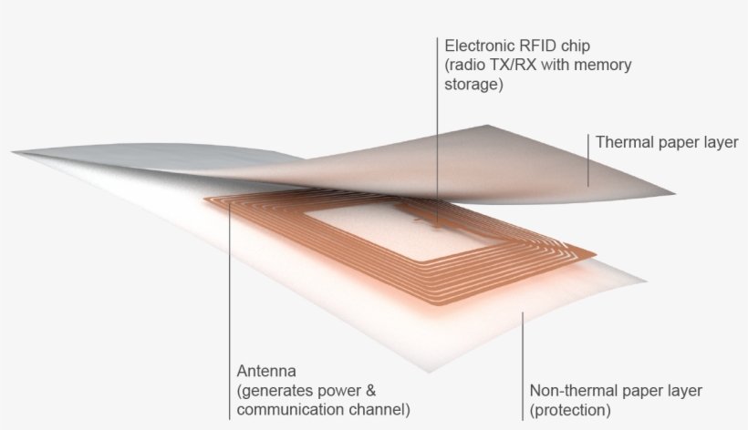 Rfid Printer - Plywood, transparent png download