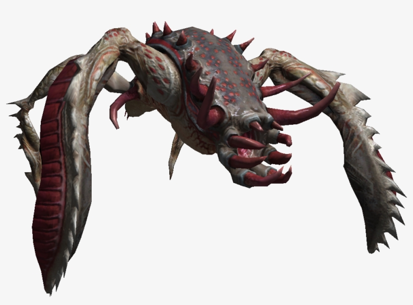 Bestiary Kikimore Warrior Full, transparent png download