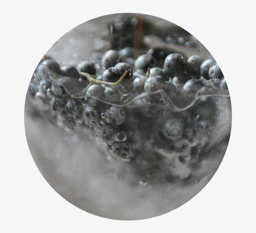 Garden To Glass Mobile Mixology - Sphere, transparent png download