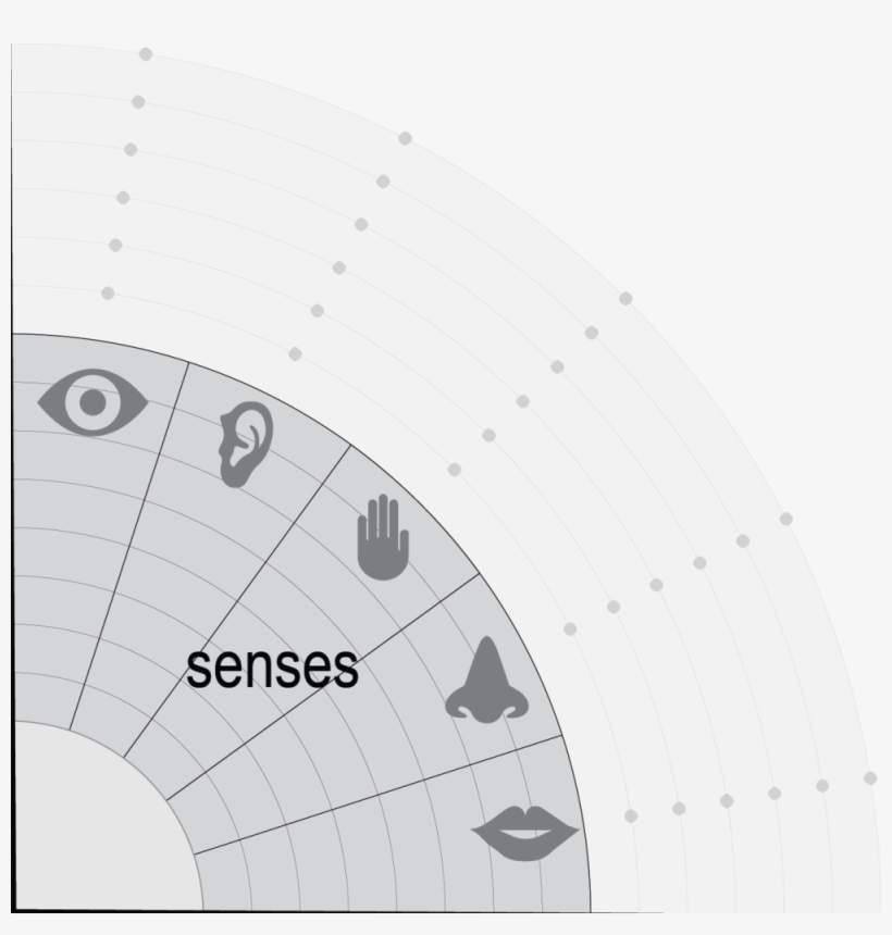 Sensory, transparent png download
